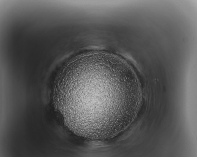 X0000089761448200706281635