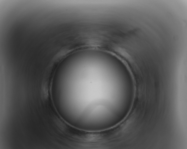 X0000089761451200706281635