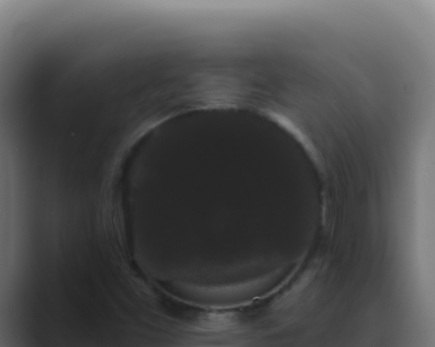 X0000089761453200706281635