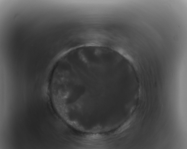 X0000089761454200706281635