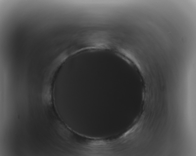 X0000089761455200706281635
