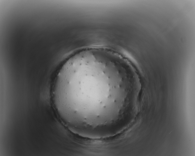 X0000089761456200706281635