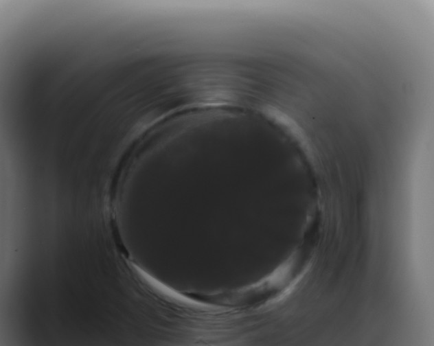 X0000089761457200706281635