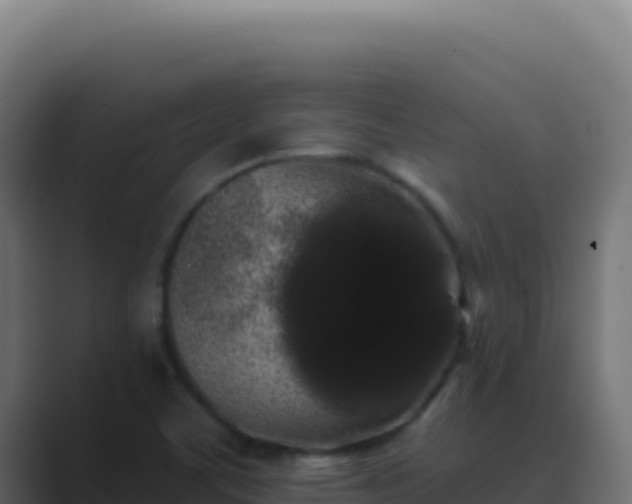 X0000089761459200706281635