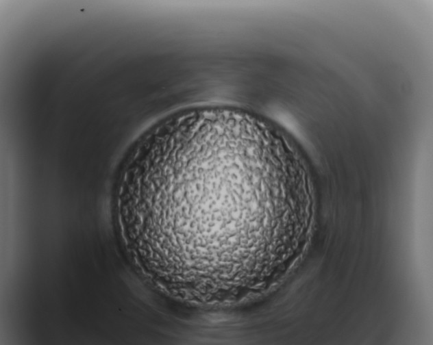 X0000089761460200706281635