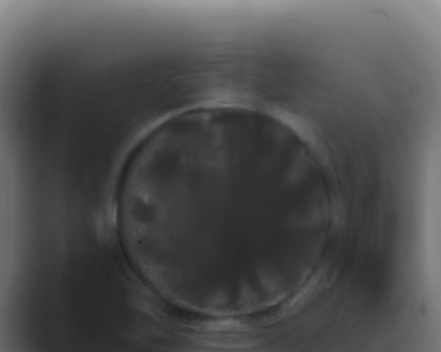 X0000089761462200706281635