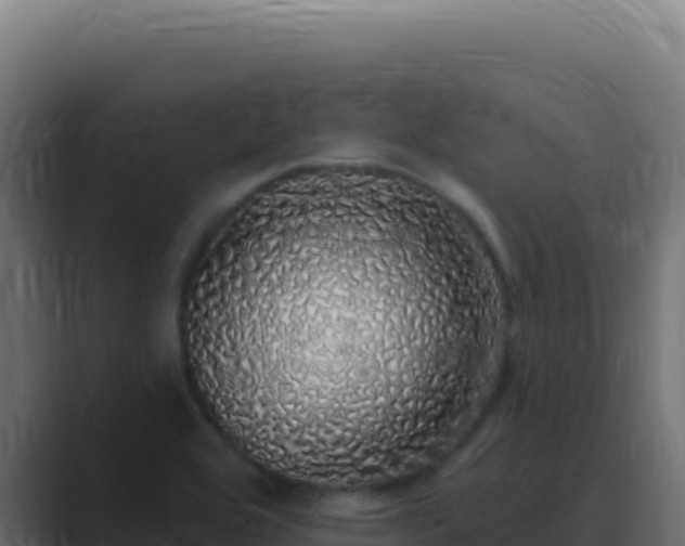 X0000089761464200706281635
