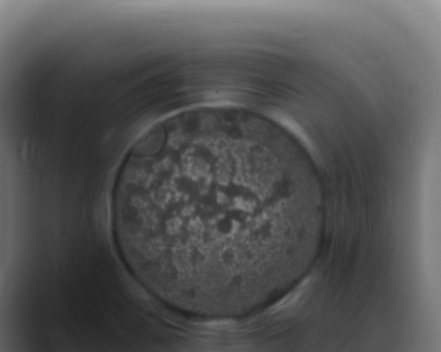 X0000089761467200706281635