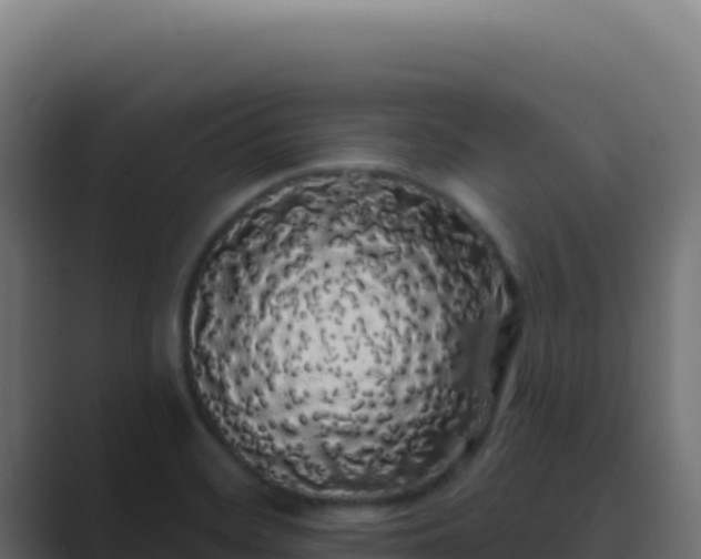 X0000089761468200706281635