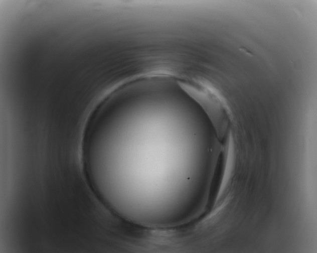 X0000089761469200706281634