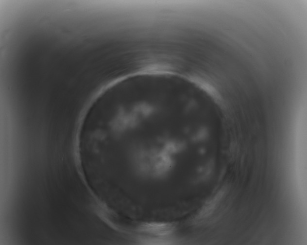 X0000089761470200706281634