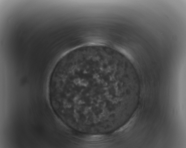 X0000089761471200706281634