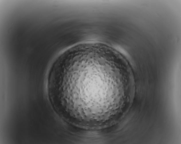 X0000089761472200706281634