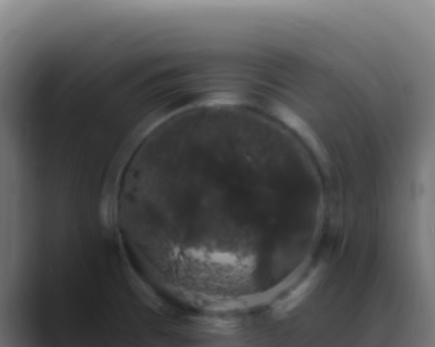 X0000089761473200706281634