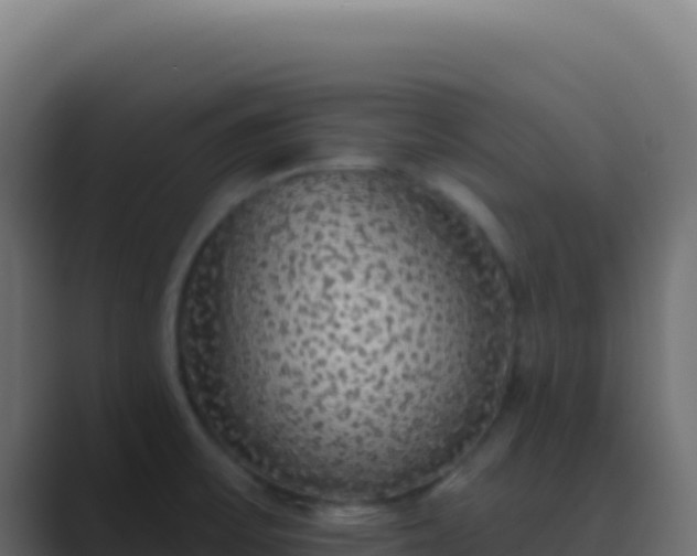 X0000089761475200706281634