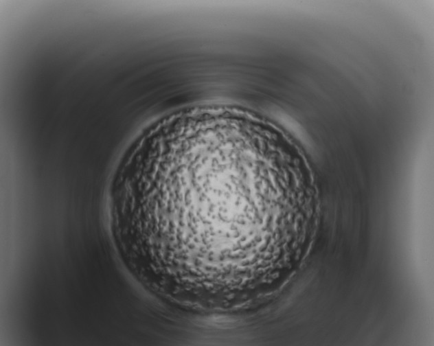 X0000089761476200706281634