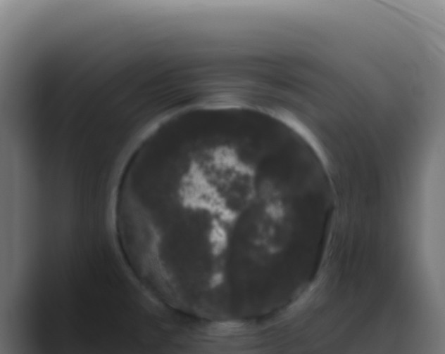 X0000089761477200706281634