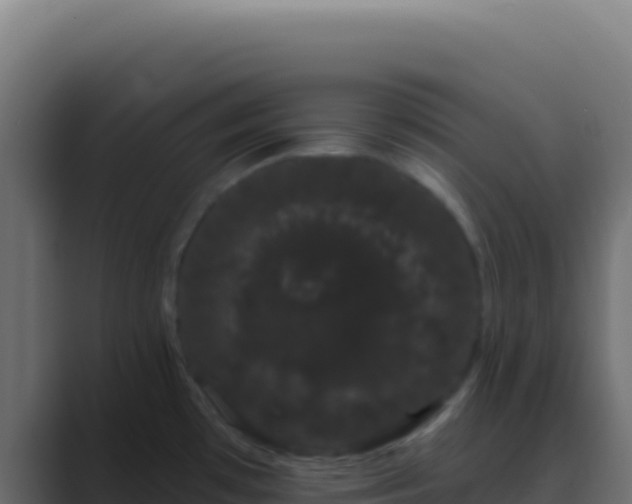 X0000089761481200706281634