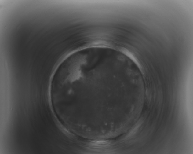 X0000089761482200706281634