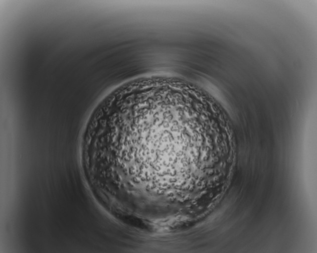 X0000089761484200706281634