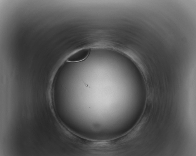 X0000089761486200706281634