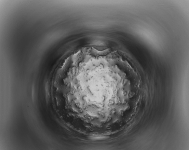 X0000089761487200706281634