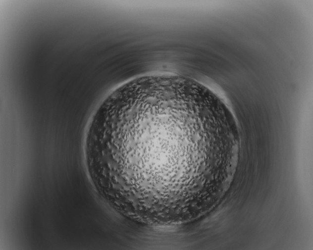 X0000089761488200706281634