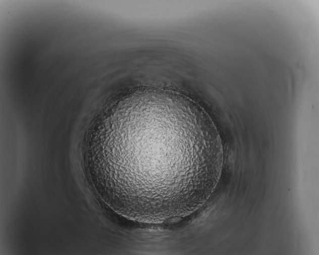 X0000089761489200706281634