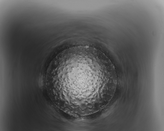 X0000089761490200706281634