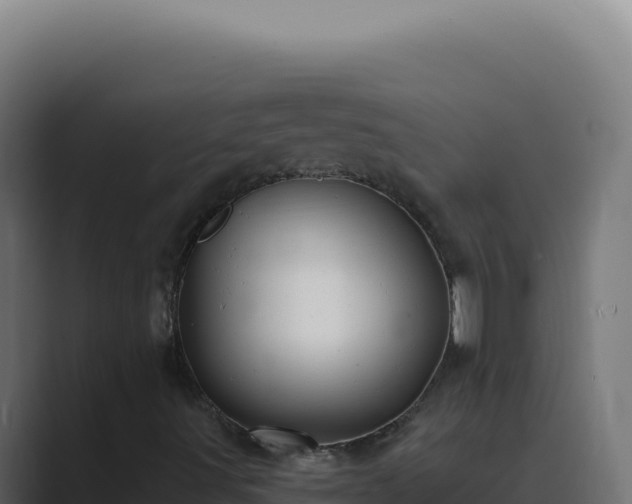 X0000089761491200706281634