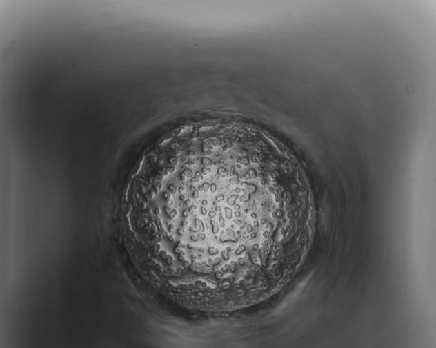 X0000089761494200706281634