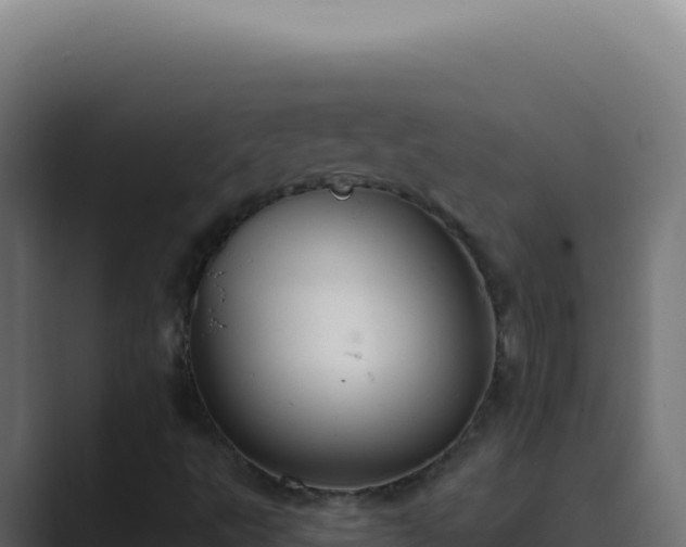 X0000089761495200706281634