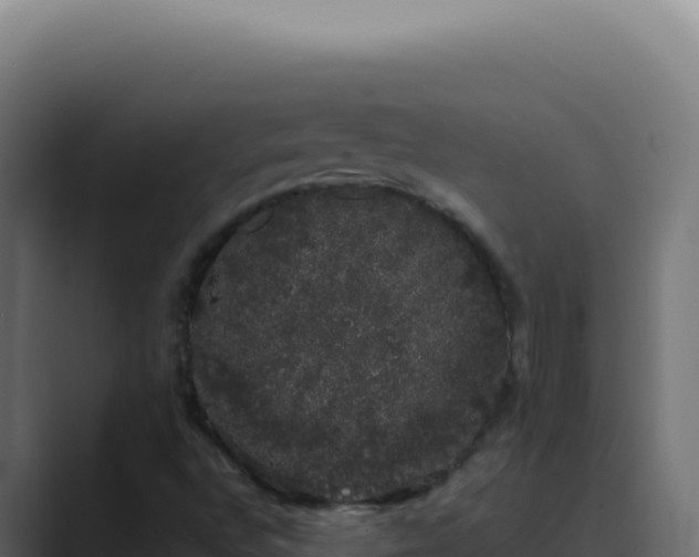 X0000089761496200706281634