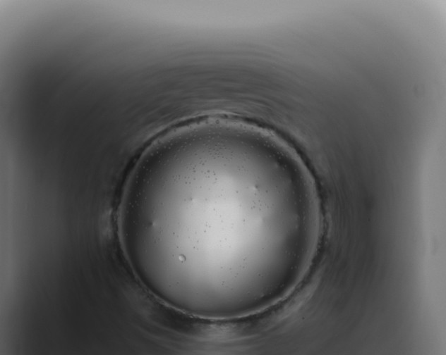 X0000089761497200706281634