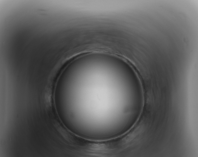 X0000089761499200706281634