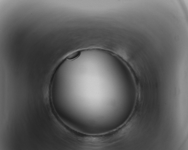 X0000089761500200706281634
