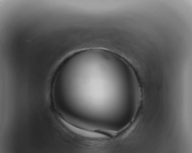 X0000089761502200706281634