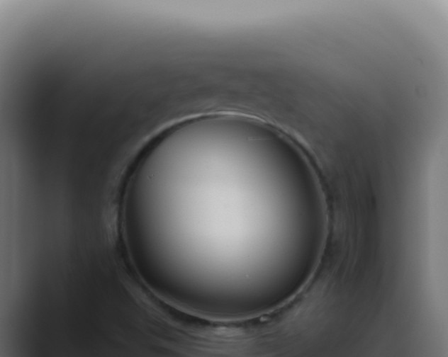 X0000089761503200706281634