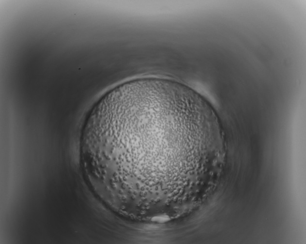 X0000089761504200706281634
