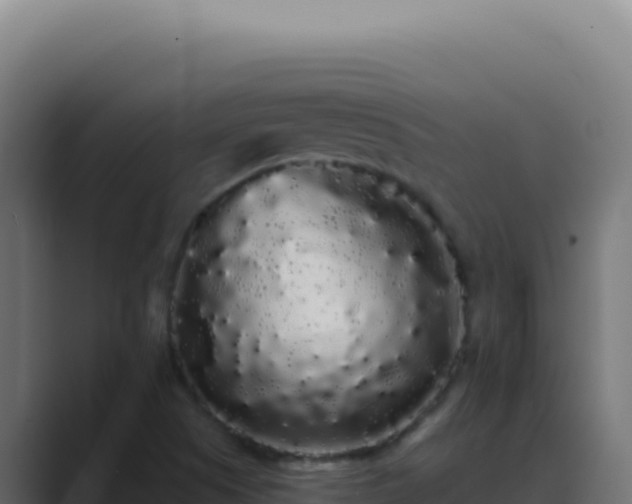 X0000089761505200706281634