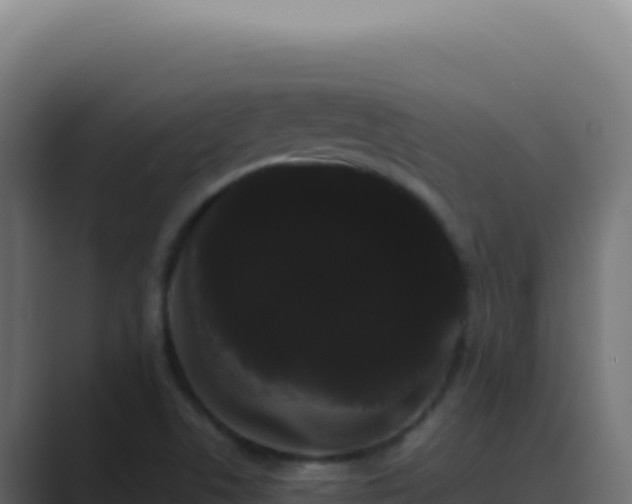 X0000089761506200706281634
