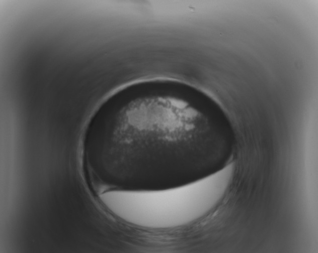 X0000089761508200706281634