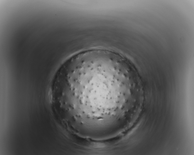 X0000089761509200706281634