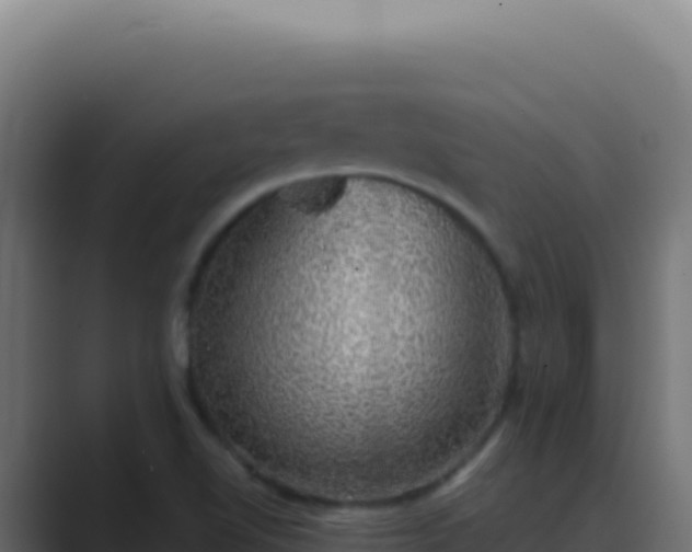 X0000089761510200706281634