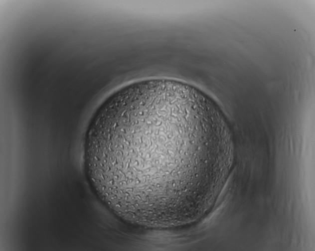 X0000089761511200706281634