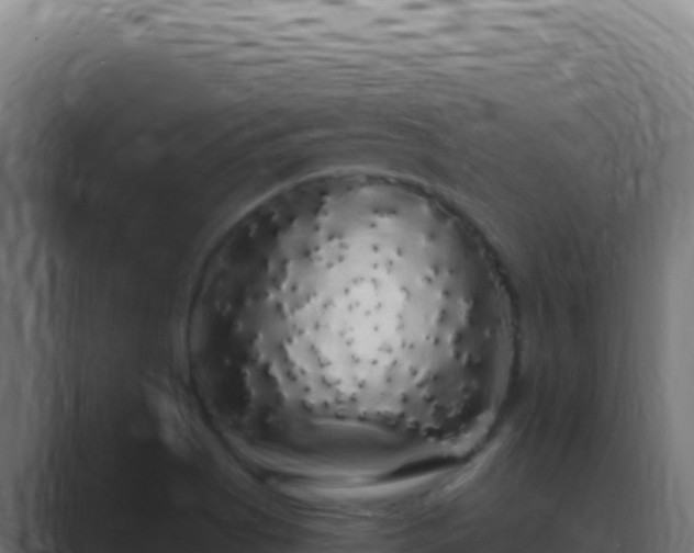 X0000089761513200706281634