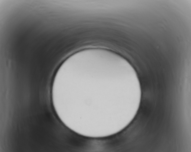 X0000089761514200706281634