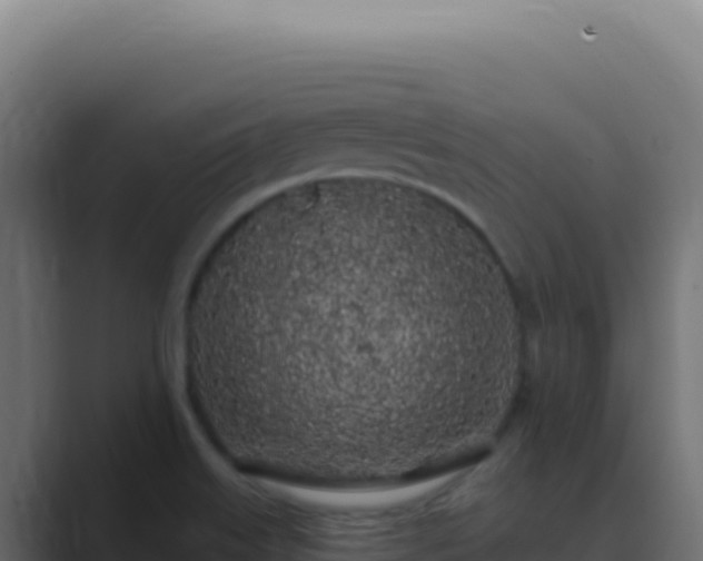 X0000089761515200706281634
