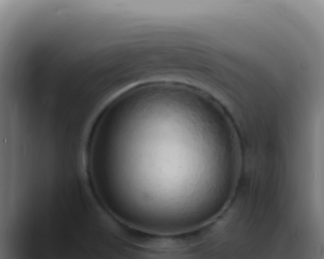 X0000089761517200706281634
