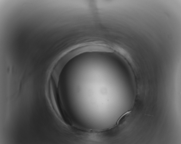 X0000089761520200706281634